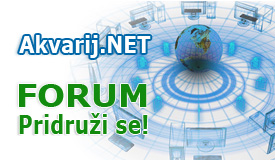 modul-forum